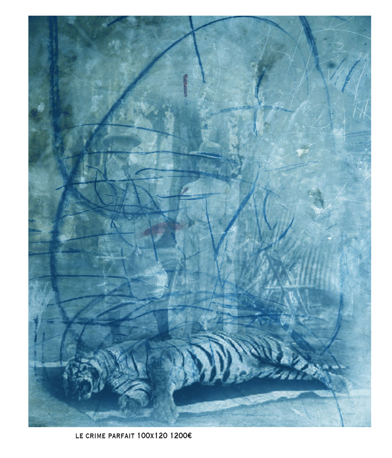 4 – Le crime parfait – 100x120cm